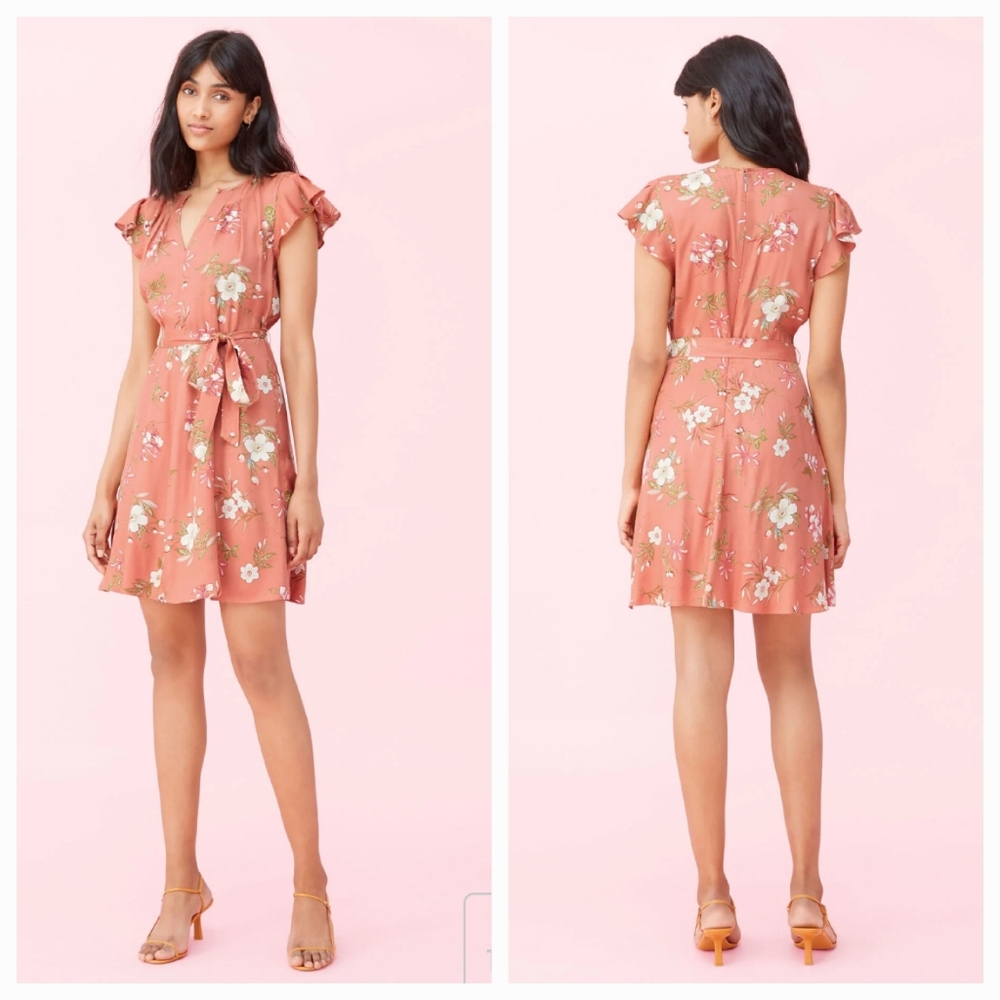 NWT Rebecca Taylor Dress